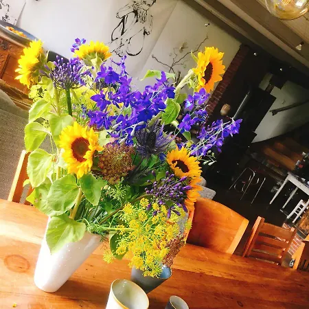 Bed & Breakfast De Pauw - Country Cooking