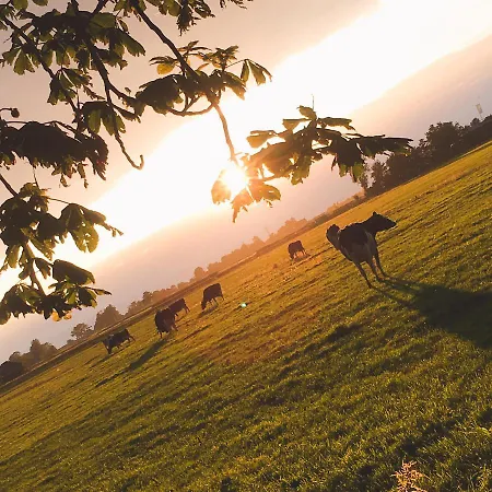 Bed & Breakfast De Pauw - Country Cooking Graft