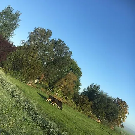 Bed & Breakfast De Pauw - Country Cooking