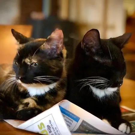 Bed & Breakfast De Pauw - Country Cooking Graft