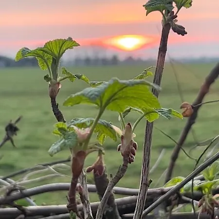 De Pauw - Country Cooking Bed & Breakfast 3*