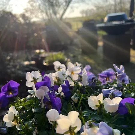 Bed & Breakfast De Pauw - Country Cooking Graft