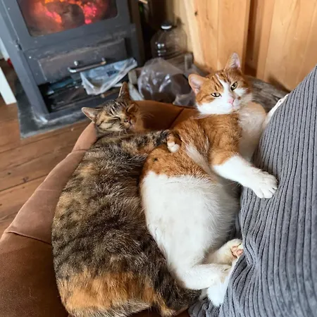 B&B De Pauw - Country Cooking Graft