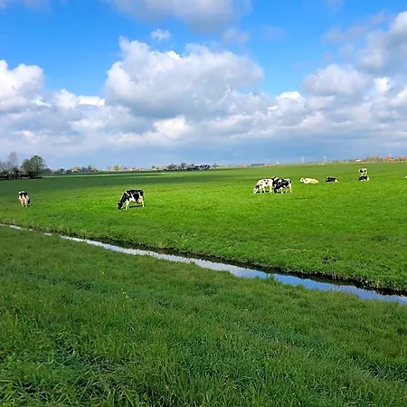 De Pauw - Country Cooking 3*