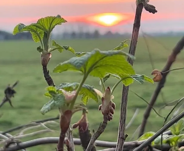 De Pauw - Country Cooking B&B 3*