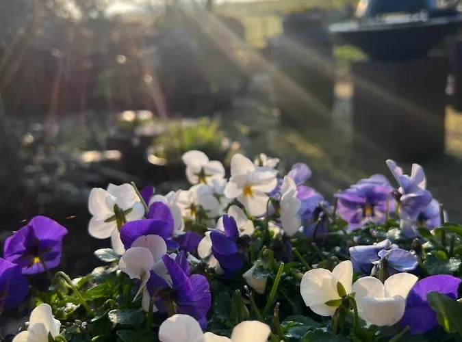 B&B De Pauw - Country Cooking Graft