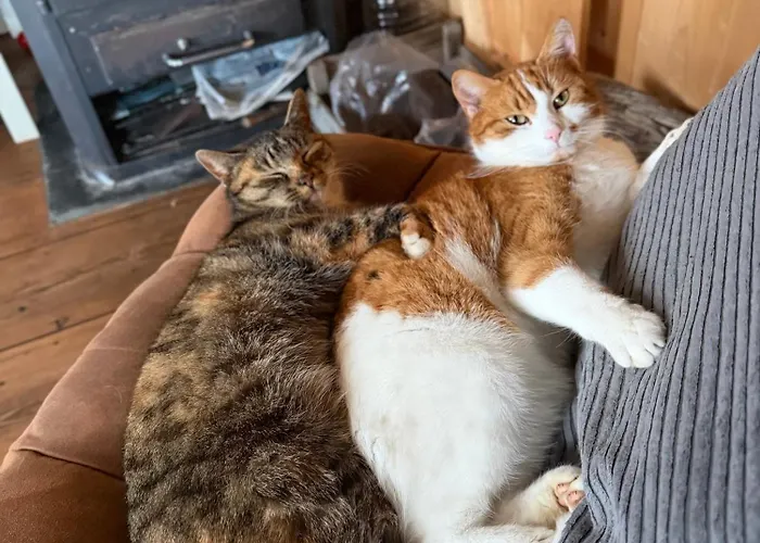 B&B De Pauw - Country Cooking Graft