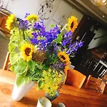 Bed & Breakfast De Pauw - Country Cooking
