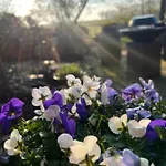 Bed & Breakfast De Pauw - Country Cooking Graft
